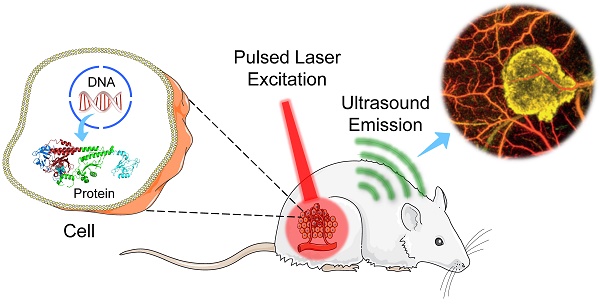 Graphical Abstract sample