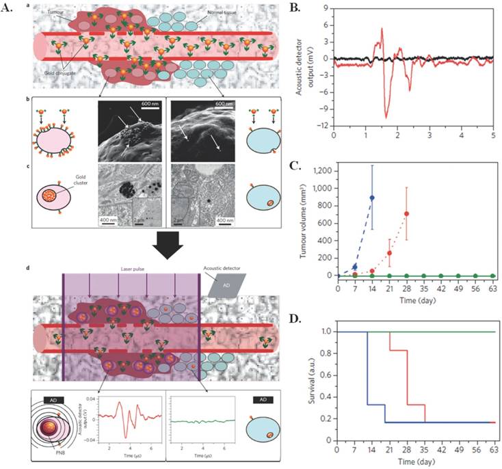 Nanotheranostics Image