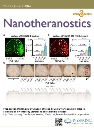 Nanotheranostics Cover image