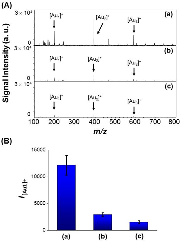 Nanotheranostics Image