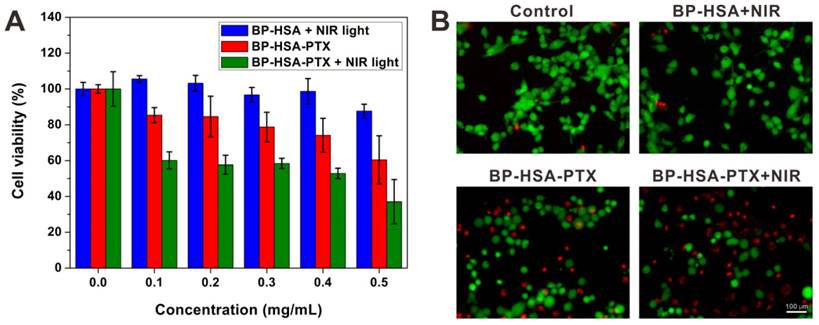 Nanotheranostics Image