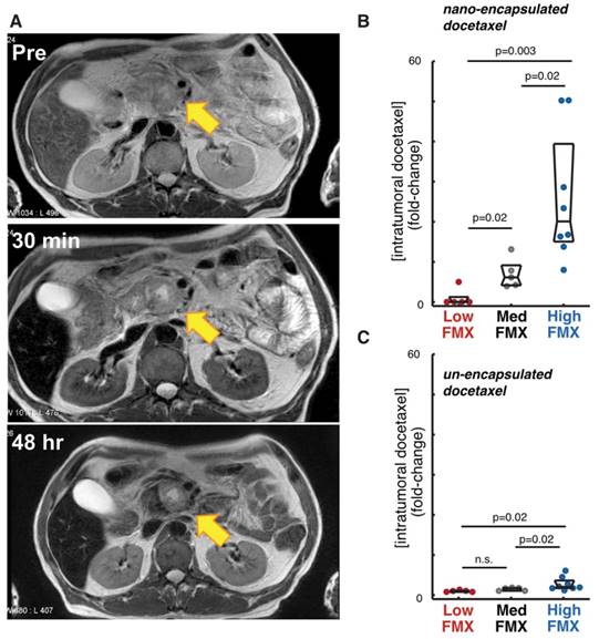 Nanotheranostics Image