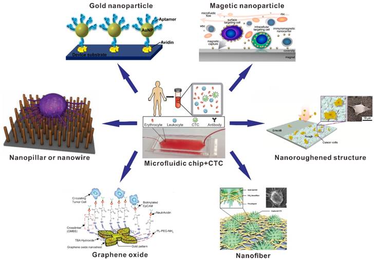 Recent advances for cancer detection and treatment by microfluidic  technology, review and update, Biological Procedures Online