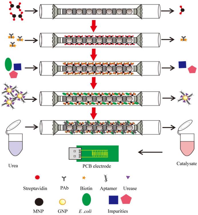 Nanotheranostics Image