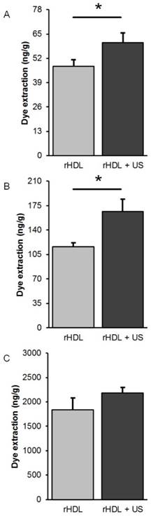 Nanotheranostics Image