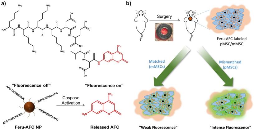 Nanotheranostics Image