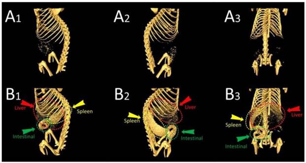 Nanotheranostics Image