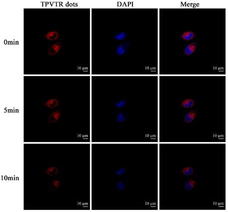 Nanotheranostics Image