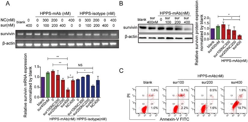 Nanotheranostics Image