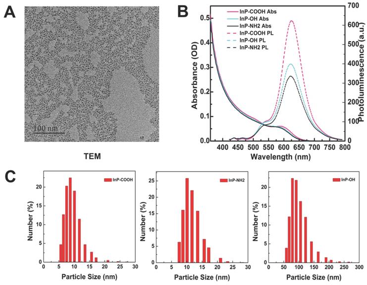 Nanotheranostics Image