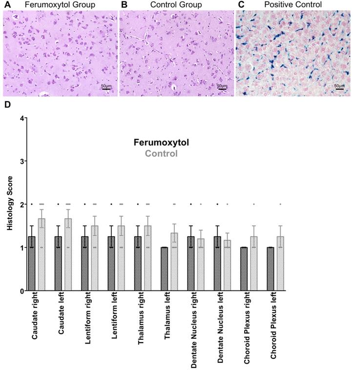 Nanotheranostics Image