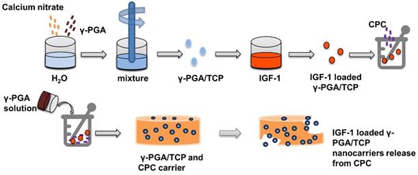 Nanotheranostics Image