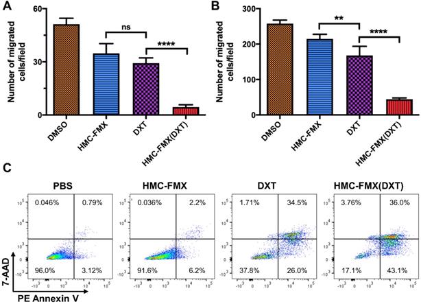 Nanotheranostics Image