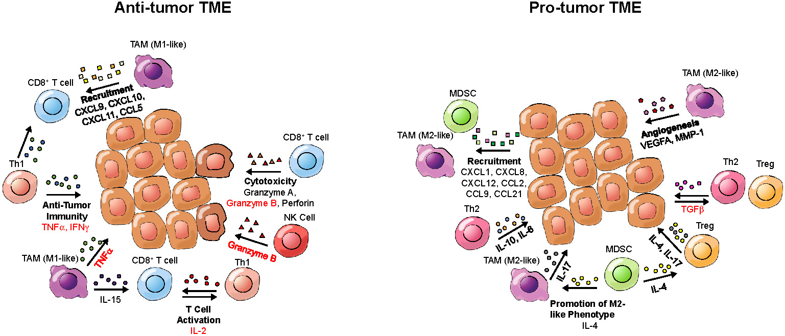Nanotheranostics Image