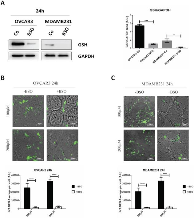 Nanotheranostics Image