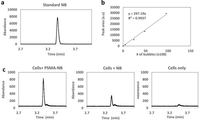 Nanotheranostics Image