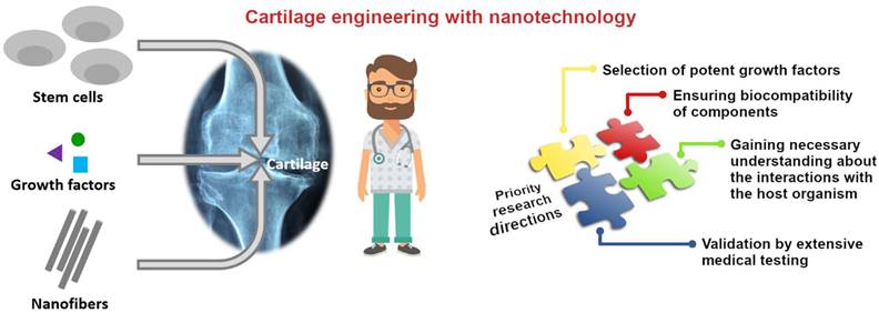 Nanotheranostics Image