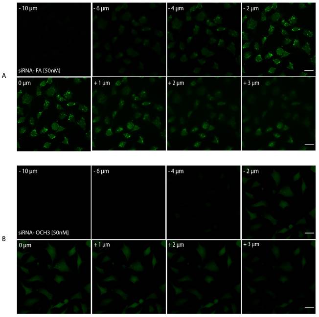 Nanotheranostics Image