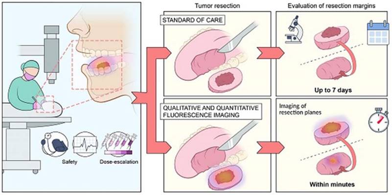 Nanotheranostics Image