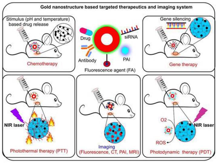 Nanotheranostics Image