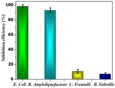 Nanotheranostics Image