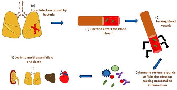Nanotheranostics Image