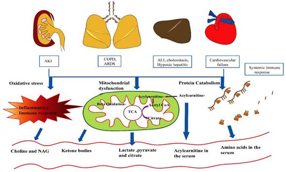 Nanotheranostics Image