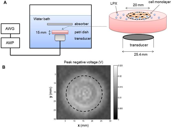 Nanotheranostics Image
