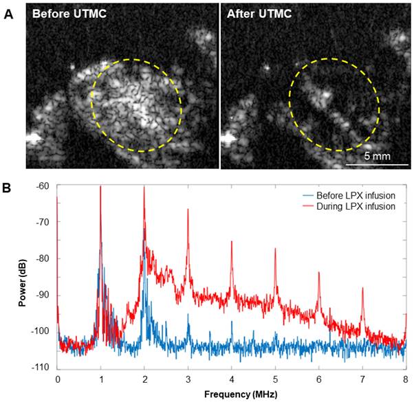 Nanotheranostics Image