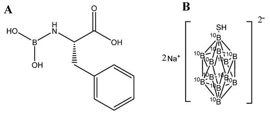 Nanotheranostics Image