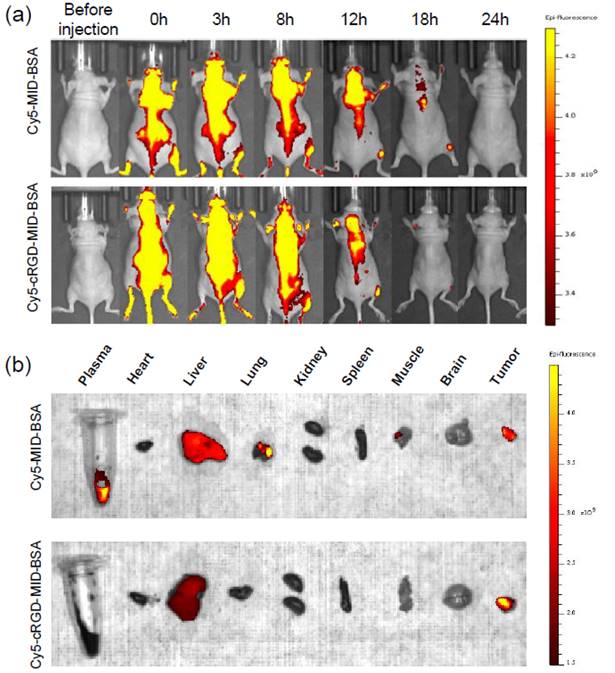 Nanotheranostics Image