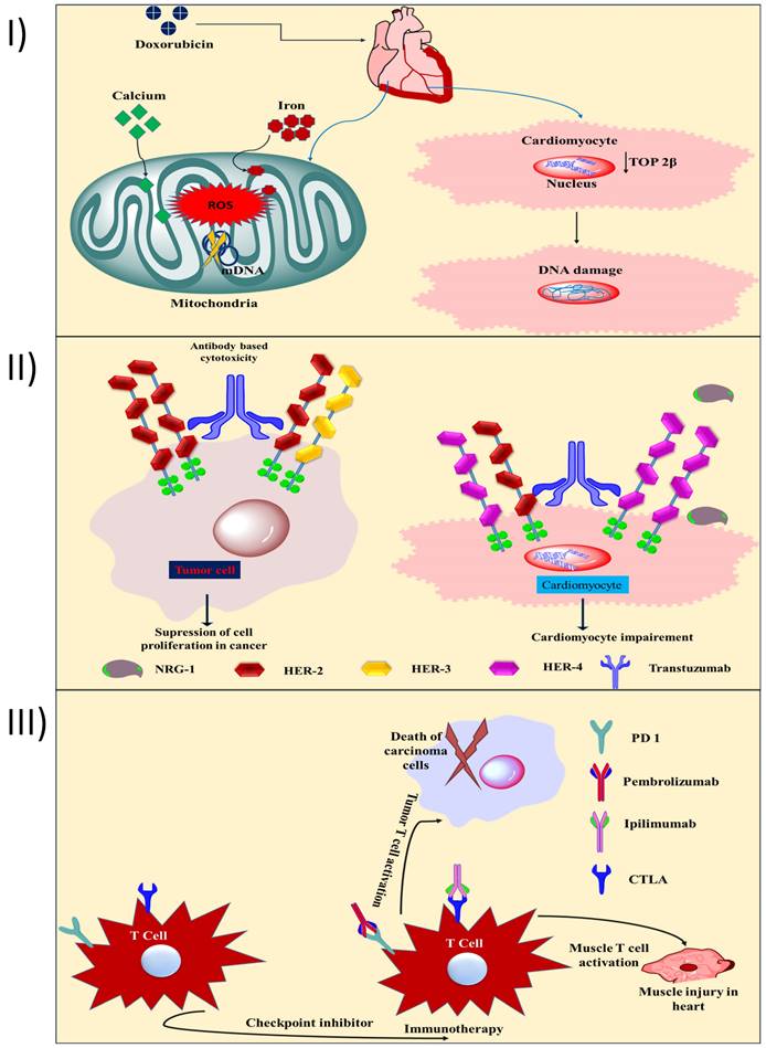Nanotheranostics Image