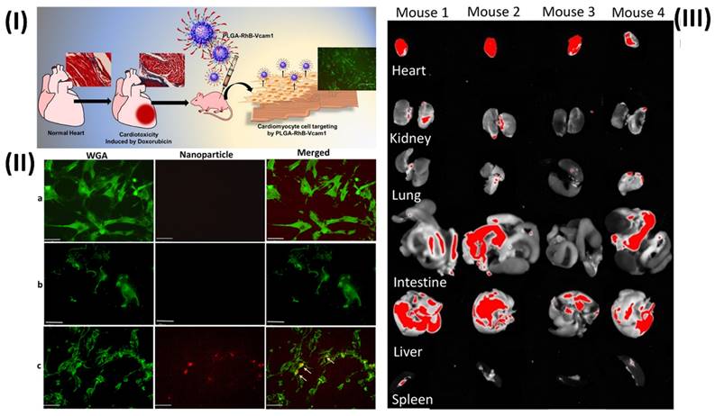 Nanotheranostics Image
