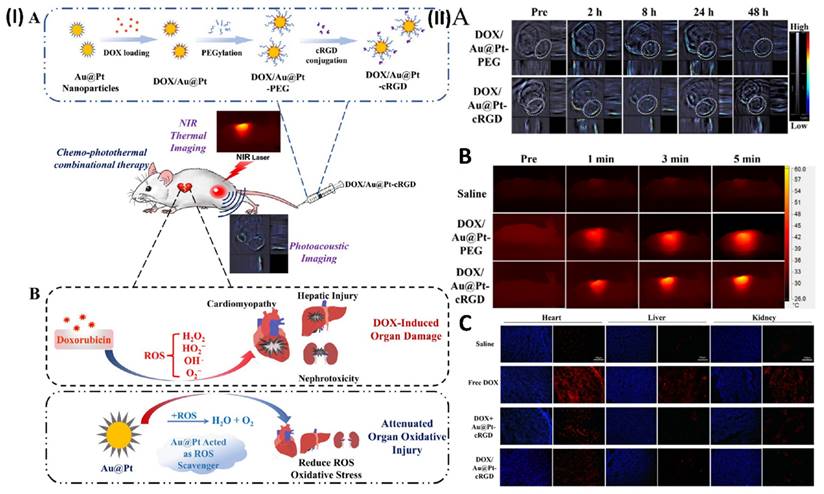 Nanotheranostics Image