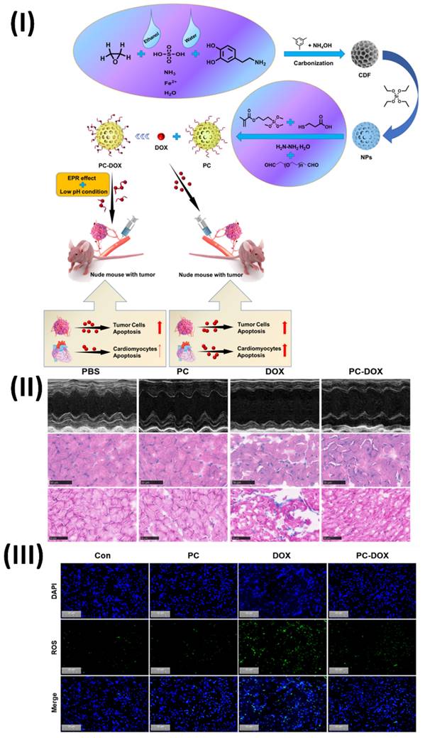 Nanotheranostics Image