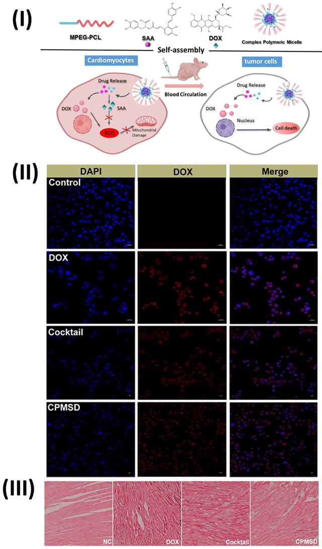 Nanotheranostics Image
