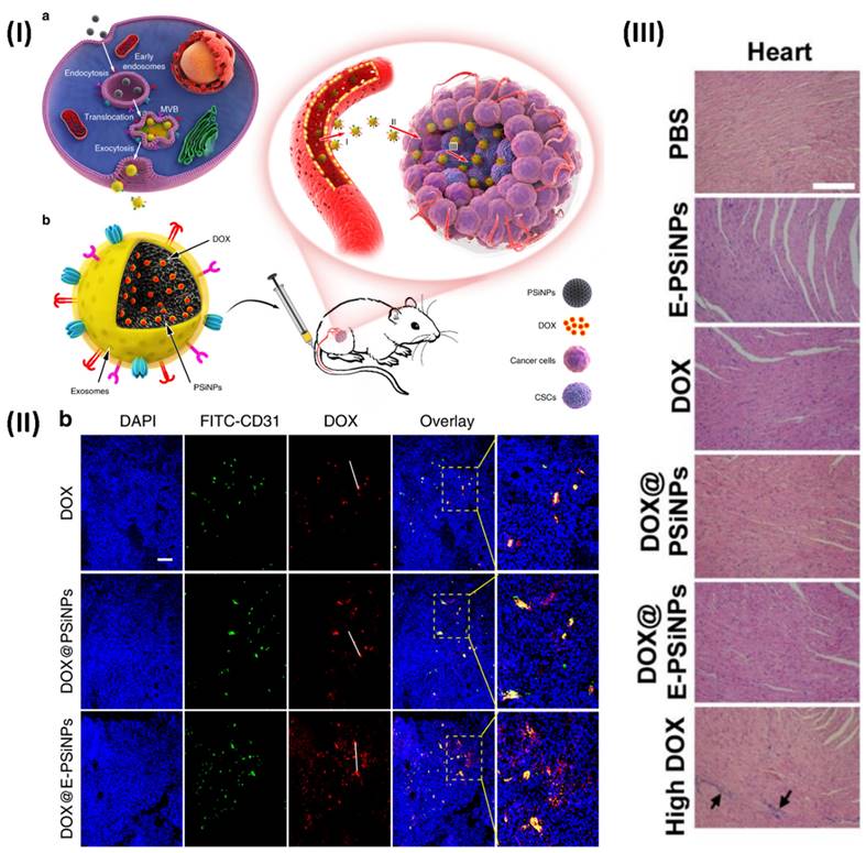 Nanotheranostics Image