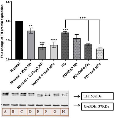 Nanotheranostics Image