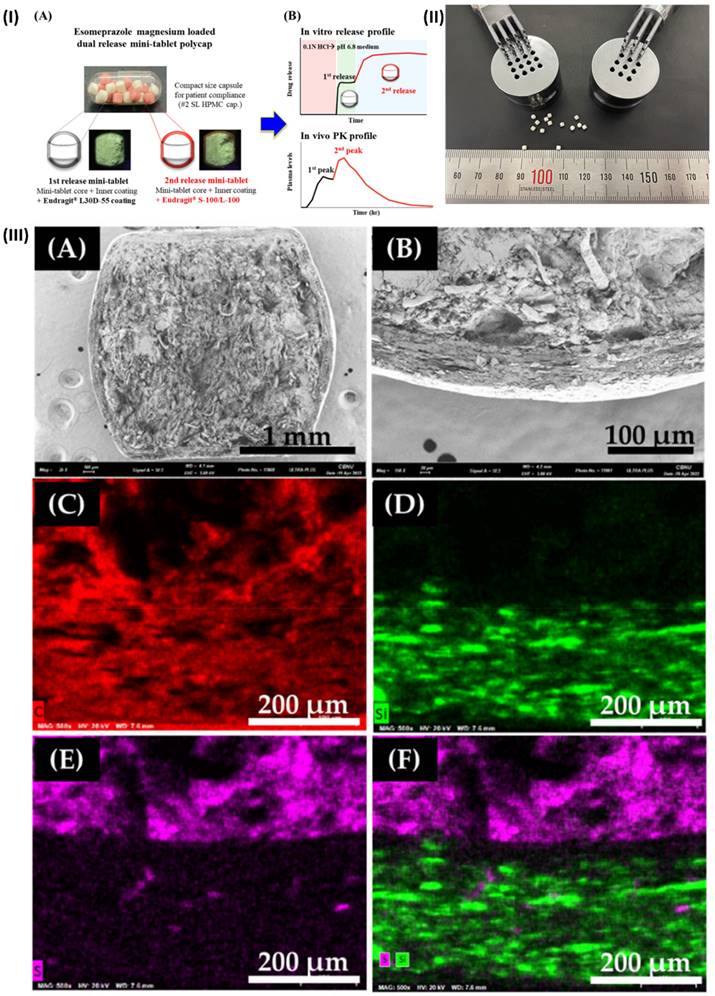 Nanotheranostics Image