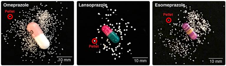 Nanotheranostics Image