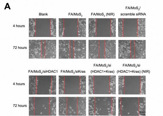 Nanotheranostics Image