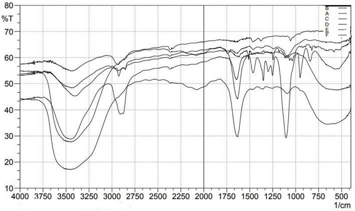 Nanotheranostics Image