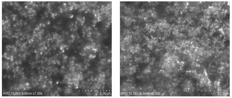 Nanotheranostics Image