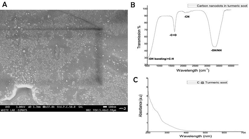 Nanotheranostics Image