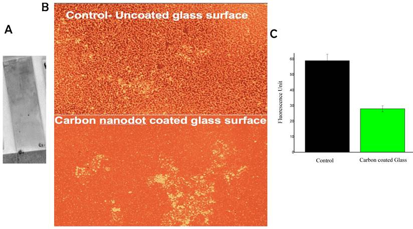 Nanotheranostics Image