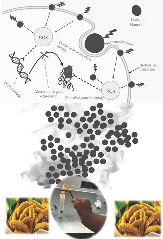 Nanotheranostics Image