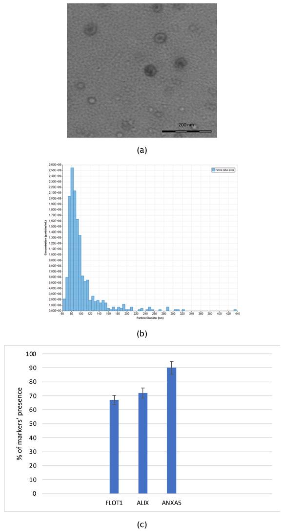 Nanotheranostics Image