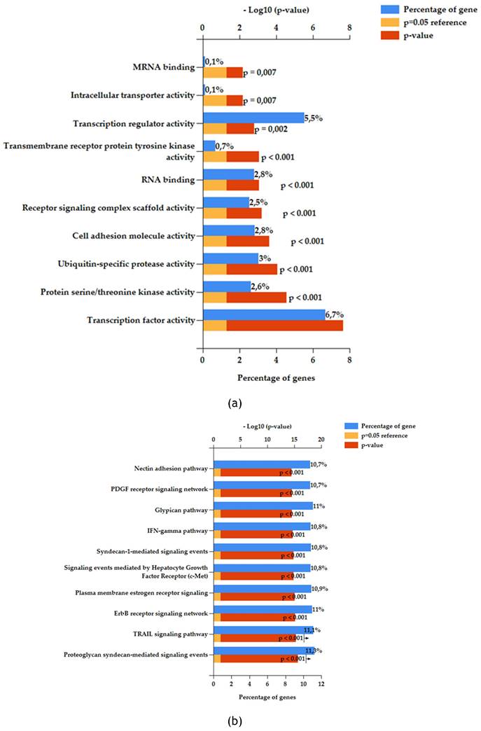 Nanotheranostics Image