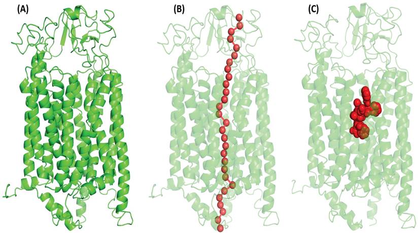 Nanotheranostics Image