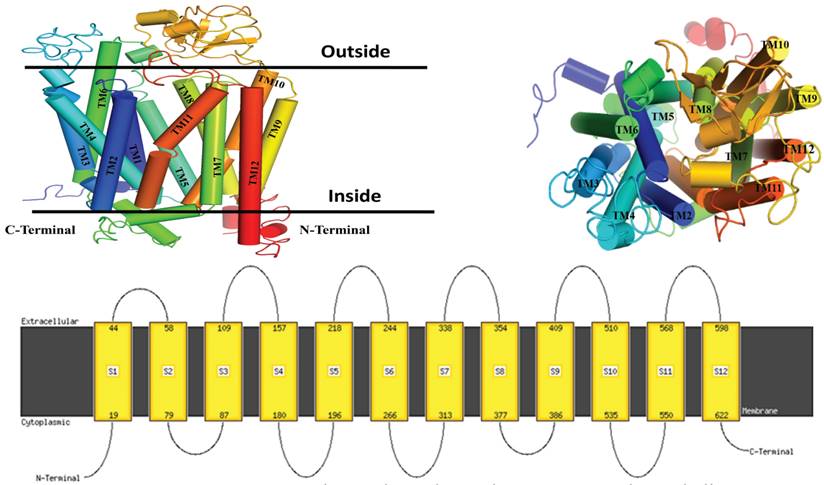 Nanotheranostics Image